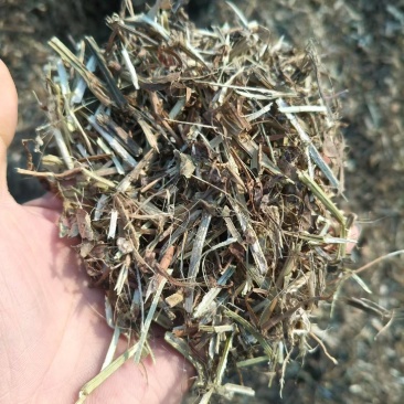 精品花生秧（全国发货，协助找车）
