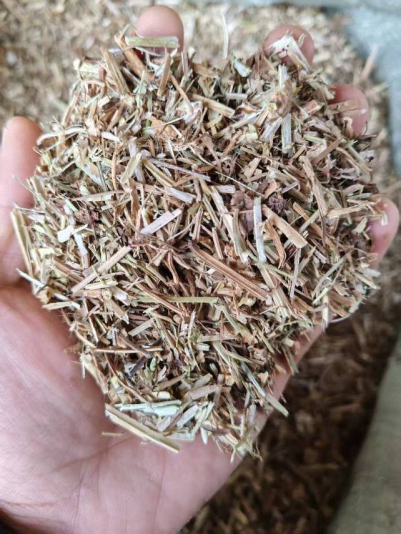 精品花生秧（全国发货，协助找车）