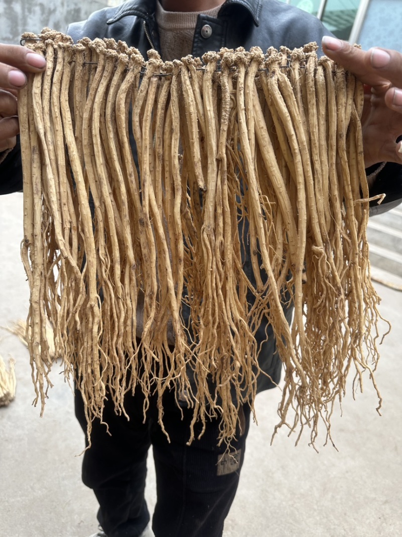 精品白条党参干货质量保证量大从优规格齐全欢迎咨询