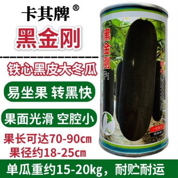 卡其牌黑金刚冬瓜种子新育成杂交黑皮大冬瓜种籽易坐果转黑快