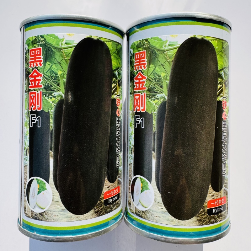 卡其牌黑金刚冬瓜种子新育成杂交黑皮大冬瓜种籽易坐果转黑快