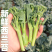 湖北绿翡翠绿宝石90西兰花看货论价保质保量欢迎订购