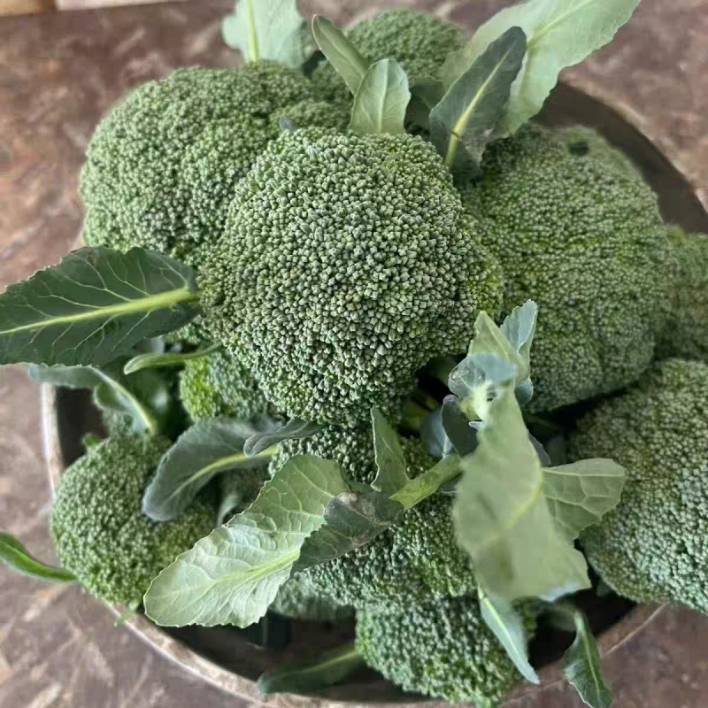 湖北绿翡翠绿宝石90西兰花看货论价保质保量欢迎订购