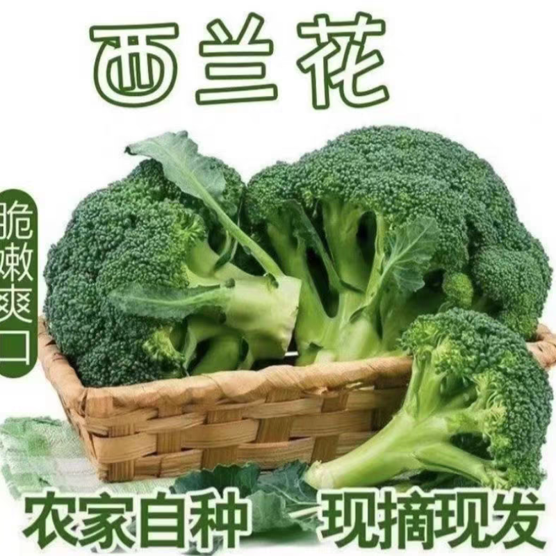 炎秀西兰花美青西兰花产地一手货源看货论价支持发货