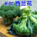 炎秀西兰花美青西兰花产地一手货源看货论价支持发货