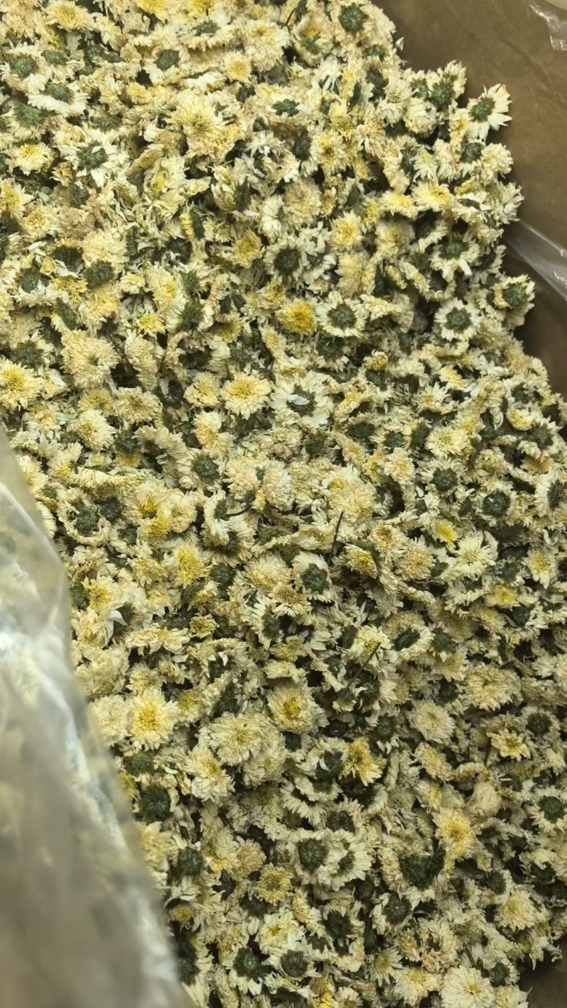黄山贡菊中药材正品黄山贡菊无硫熏***品质保证