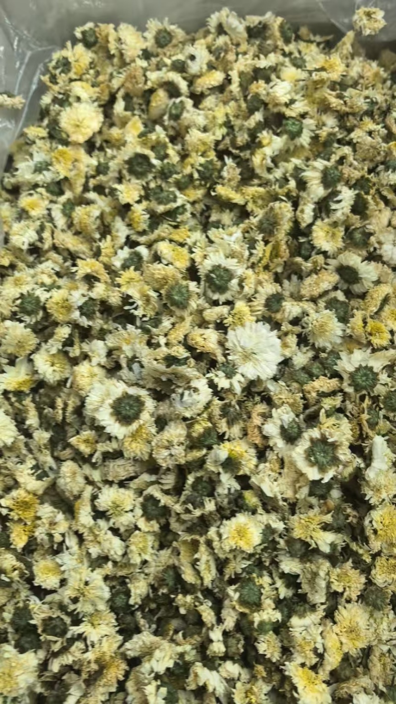 黄山贡菊中药材正品黄山贡菊无硫熏***品质保证