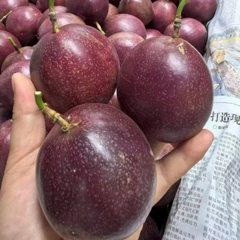 蜜桃百香果京都3号