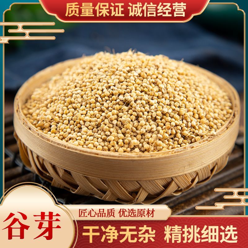 谷芽中药材***无硫新货中药材谷芽品质保证