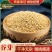 谷芽中药材***无硫新货中药材谷芽品质保证