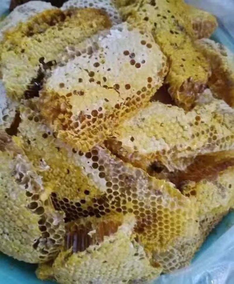 秦岭农户土蜂蜜