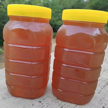 秦岭农户土蜂蜜
