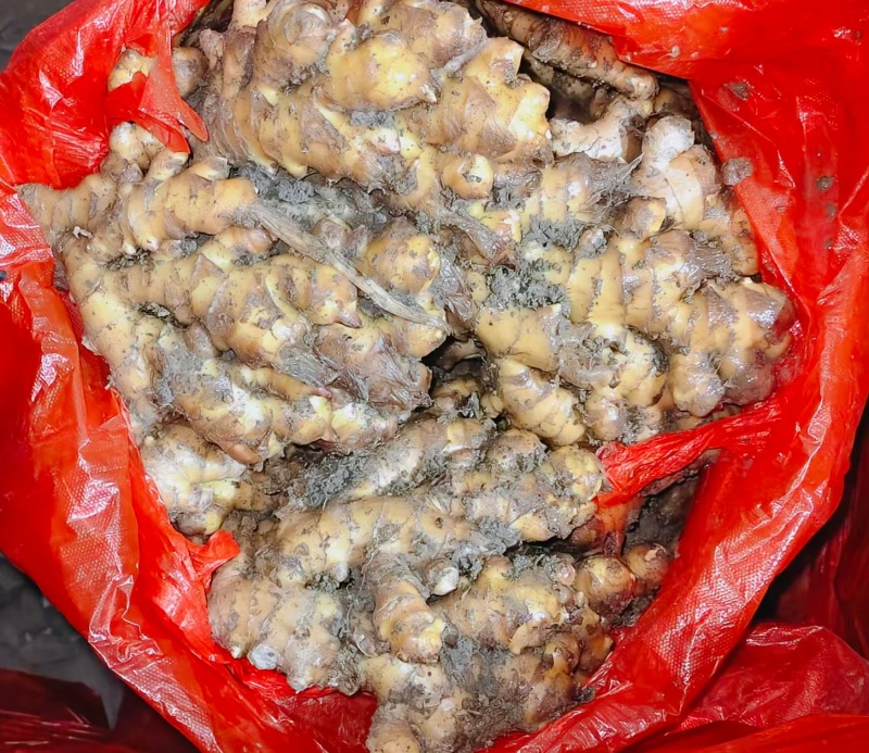 贵州二黄姜饱满，辣味十足，颜色纯正