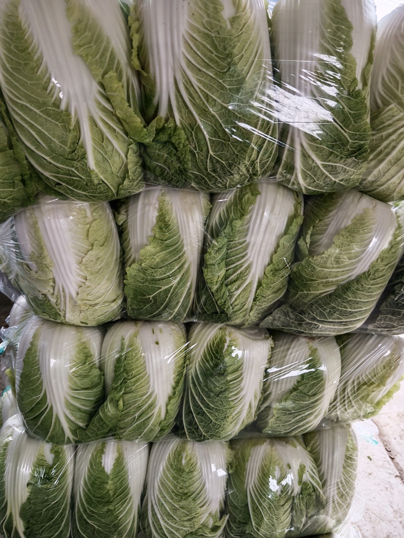 湖南黄心大白菜量大从优保质保量基地直供全国发货