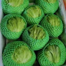 A级球生菜