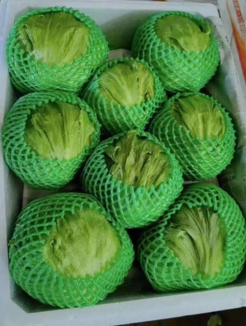 A级球生菜