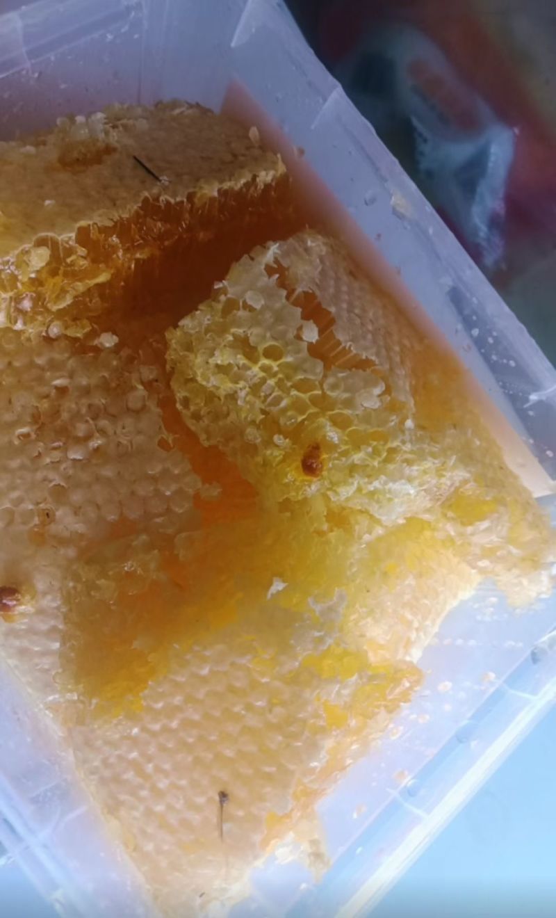 ***高山蜂蜜