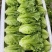 A级意大利生菜