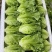 A级意大利生菜