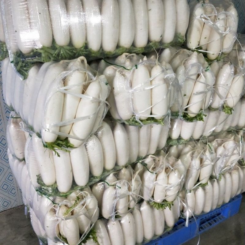 白萝卜大量供应，全国发货，量大从优，可视频看货，保质保量
