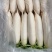 白萝卜大量供应，全国发货，量大从优，可视频看货，保质保量