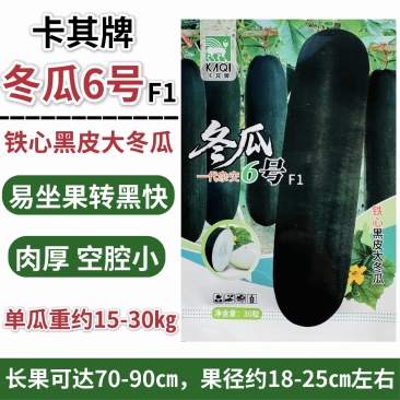 黑金刚冬瓜种子杂交一代黑皮铁心冬瓜种籽抗病丰产冬瓜种子