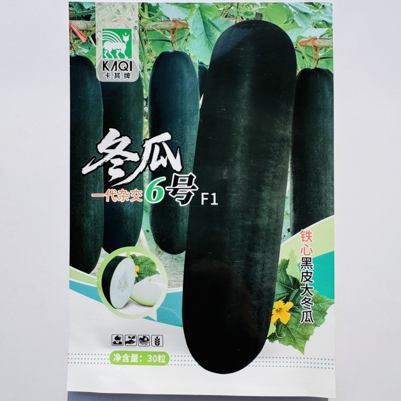 黑金刚冬瓜种子杂交一代黑皮铁心冬瓜种籽抗病丰产冬瓜种子