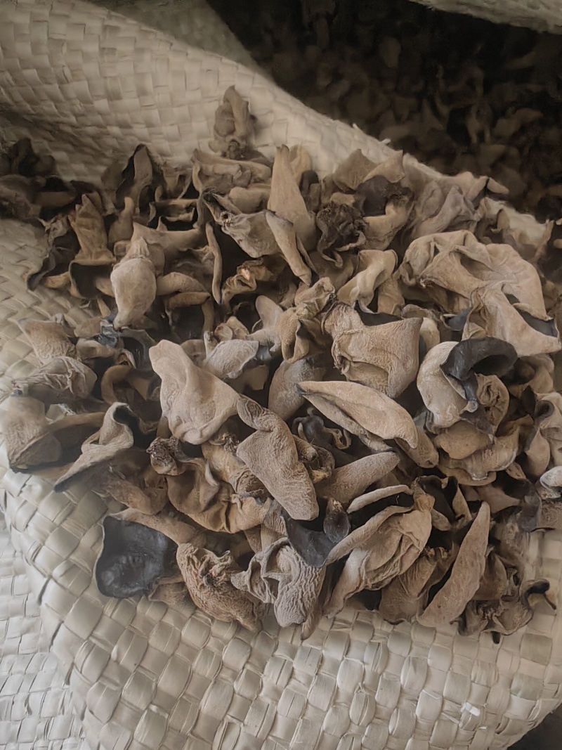 牡丹江绥芬河黑木耳小碗耳特价处理