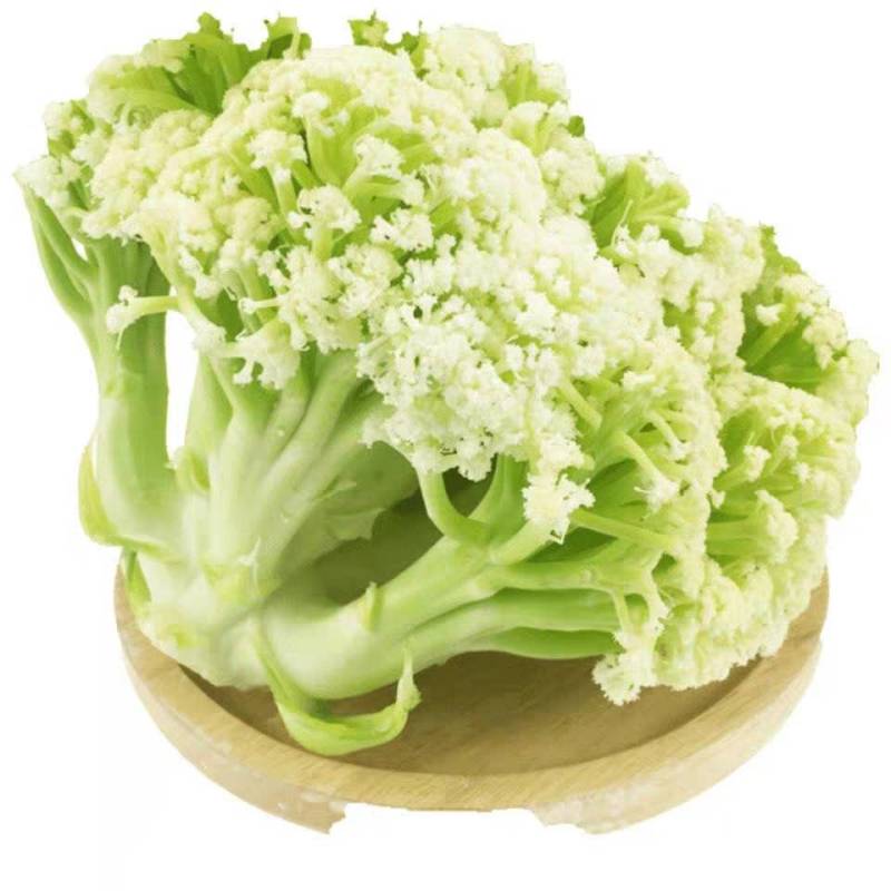 有机花菜青梗白面产地一手货源支持视频看货保质保量