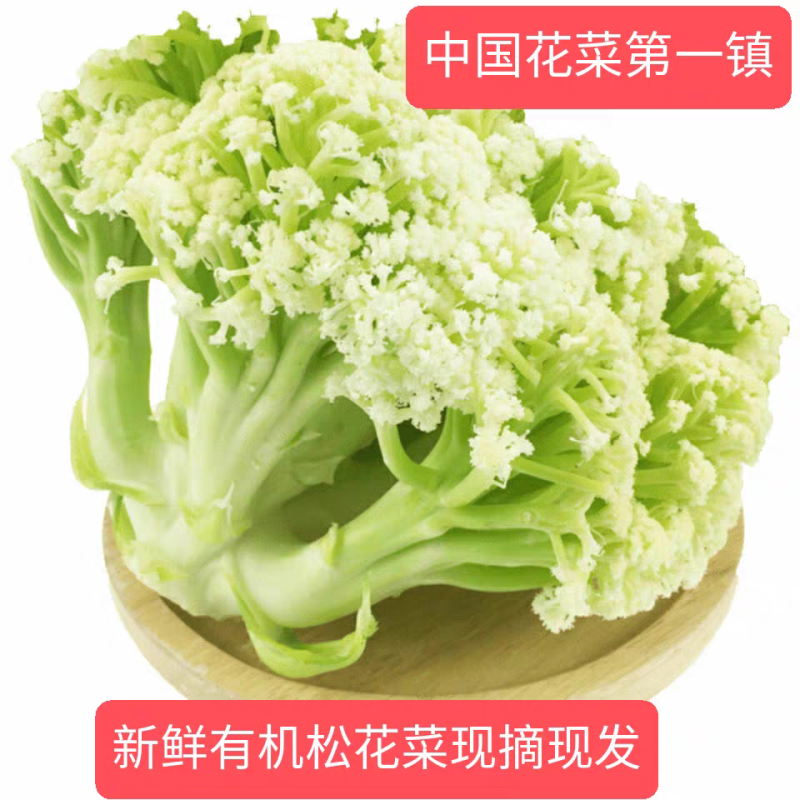 花菜白面青梗花菜松花菜产地一手货源支持发货