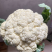 实菜花石菜花松花菜产地看货论价支持发货