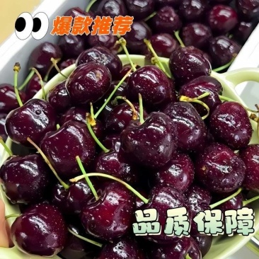《实力》车厘子大量上市对接商超团购电商一件代发全国发货