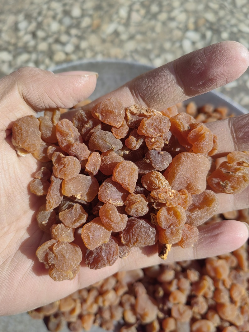 中药材土贝母统货选货各种规格保质保量批发零售