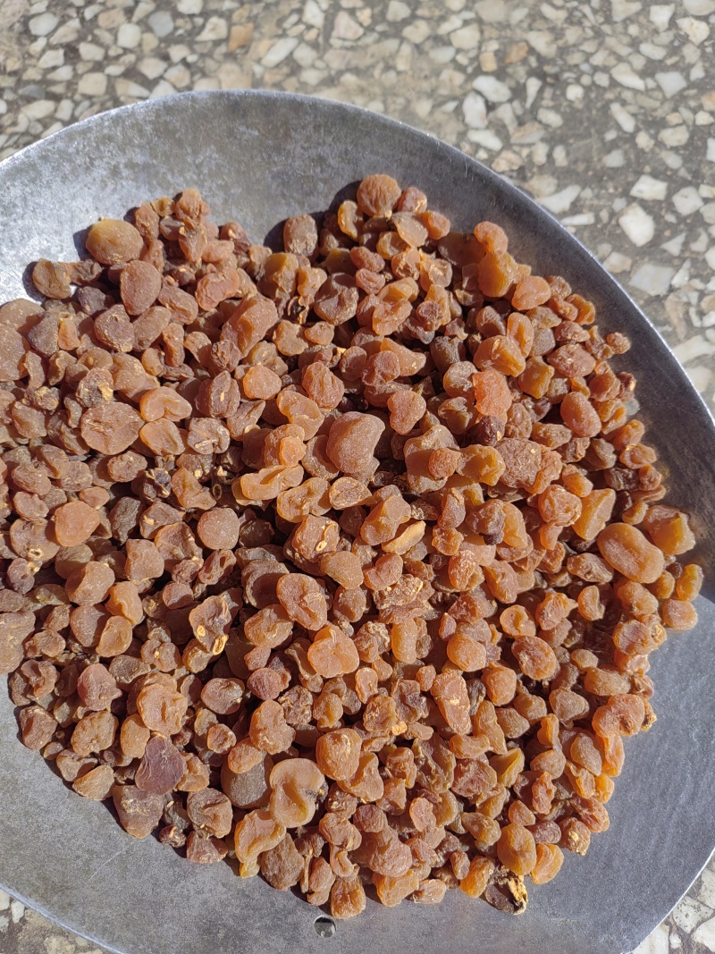 中药材土贝母统货选货各种规格保质保量批发零售