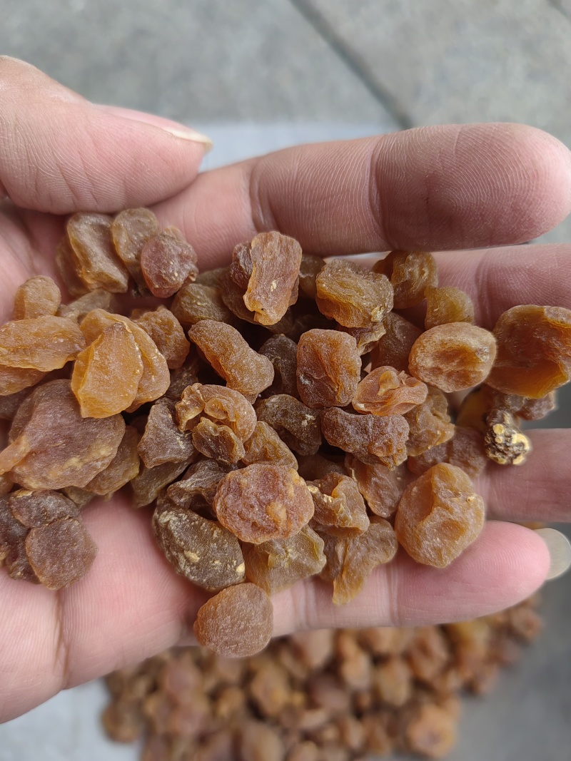 中药材土贝母统货选货各种规格保质保量批发零售