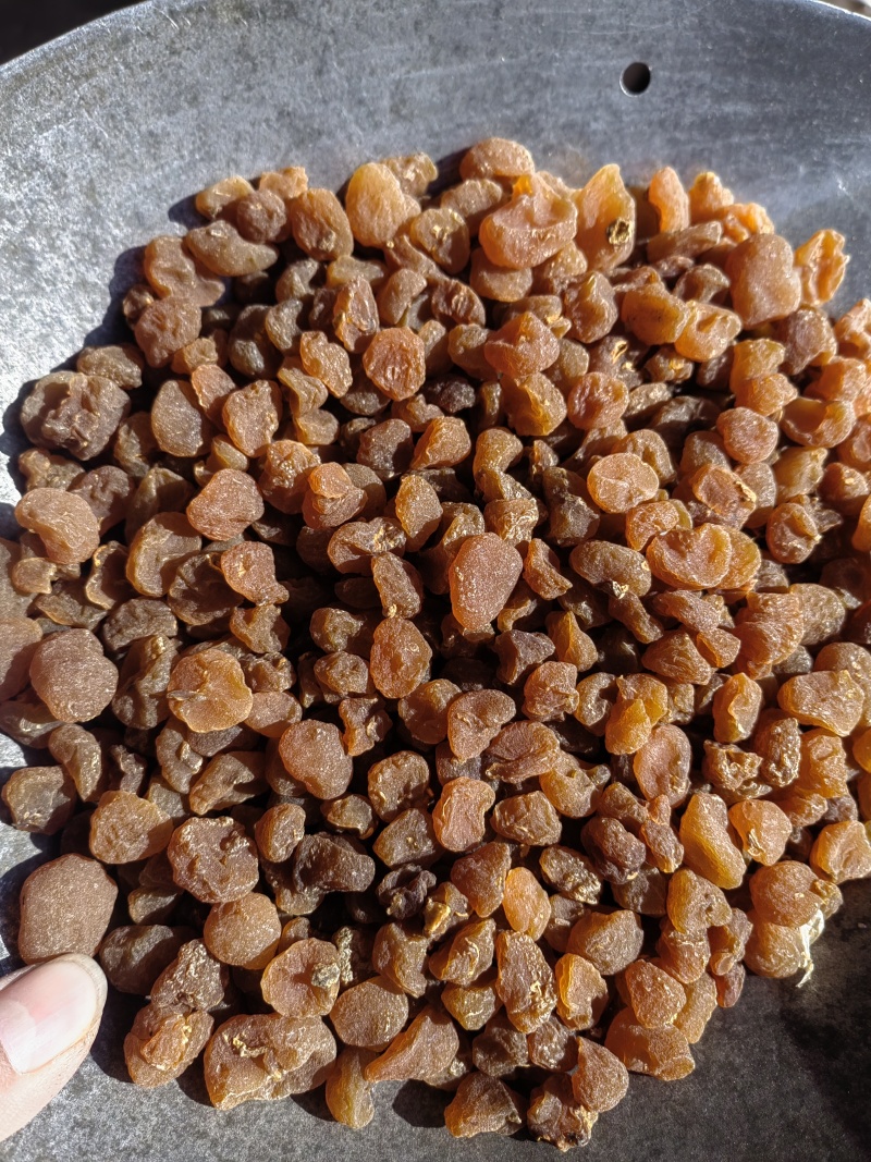 中药材土贝母统货选货各种规格保质保量批发零售