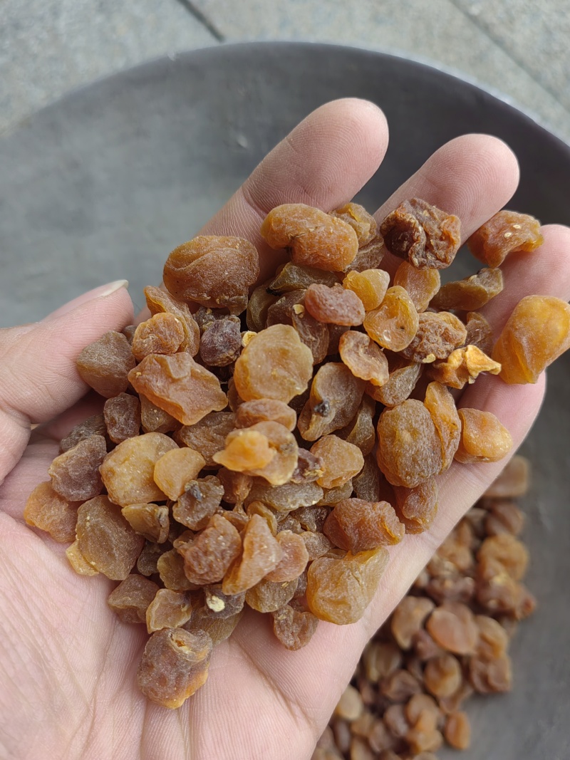 中药材土贝母统货选货各种规格保质保量批发零售