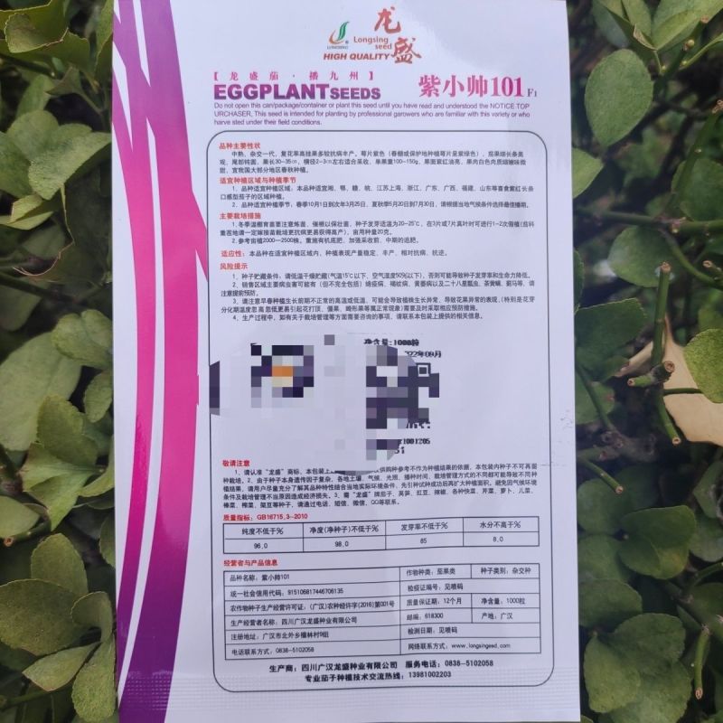 龙盛彩虹5号长线茄种子早熟杂交红线茄种子油亮肉嫩高产长茄
