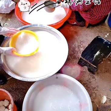 野生葛粉