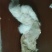 晾干兔皮一手货源量大从优支持视频看货选货