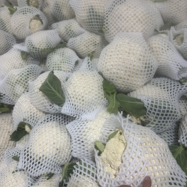 （热卖）四川精品松花菜，80小米花，一手货源，对接全国