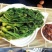刺嫩芽水煮刺嫩芽清水刺嫩芽冻刺嫩芽