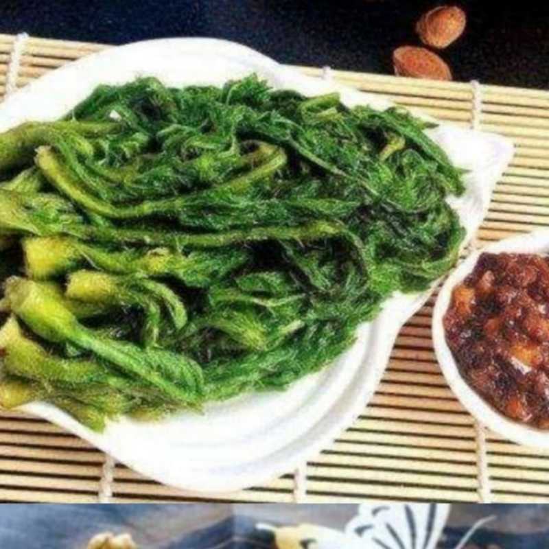 刺嫩芽水煮刺嫩芽清水刺嫩芽冻刺嫩芽
