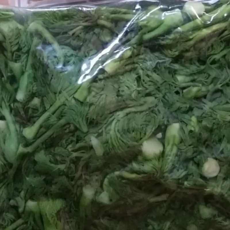 刺嫩芽水煮刺嫩芽清水刺嫩芽冻刺嫩芽