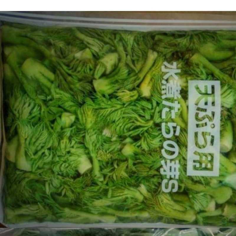 刺嫩芽水煮刺嫩芽清水刺嫩芽冻刺嫩芽