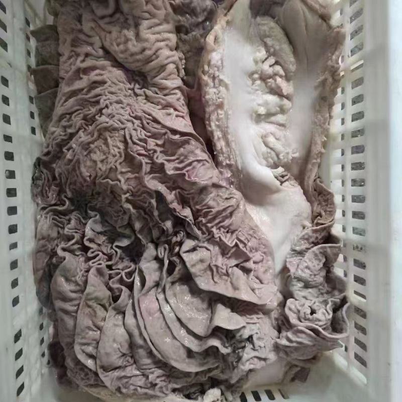 牛碗口，牛散带，一件起发，量大从优，长年有货。