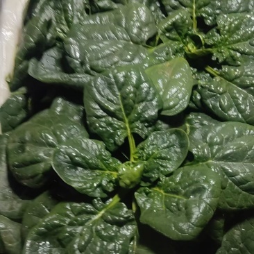 只做精品，商超，平台可供