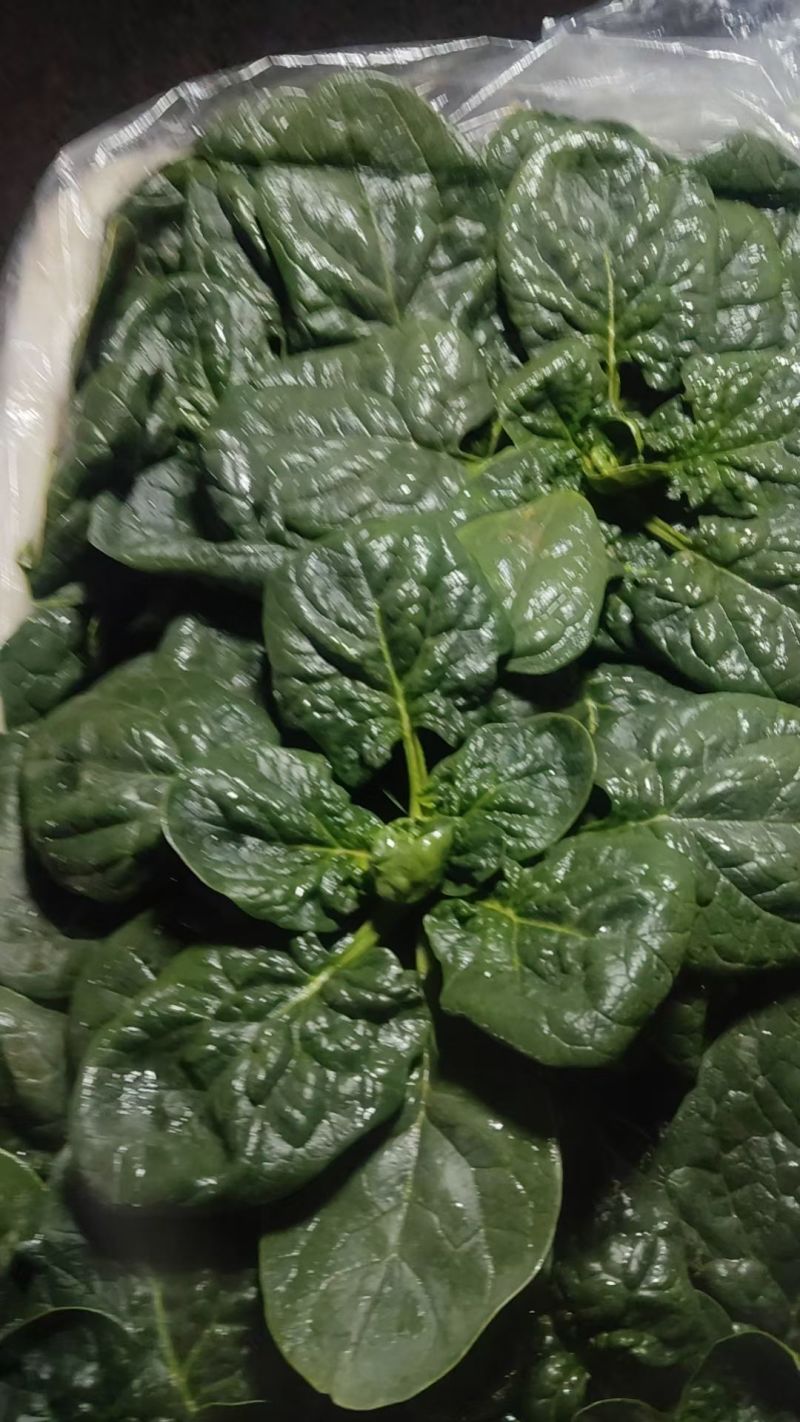 只做精品，商超，平台可供