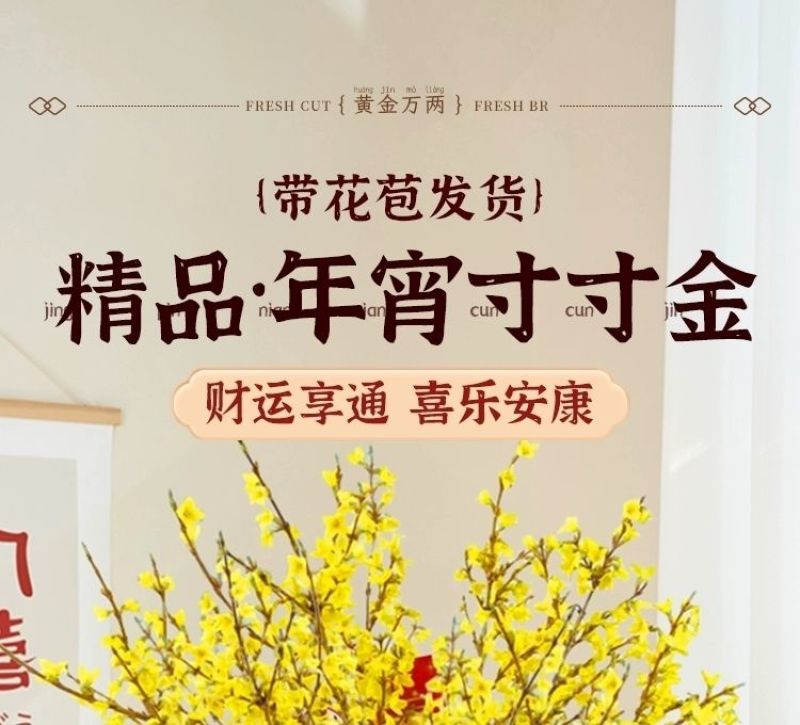 开花干枝寸寸金水培鲜切花植物插花新鲜枝条真花摆件室内客厅