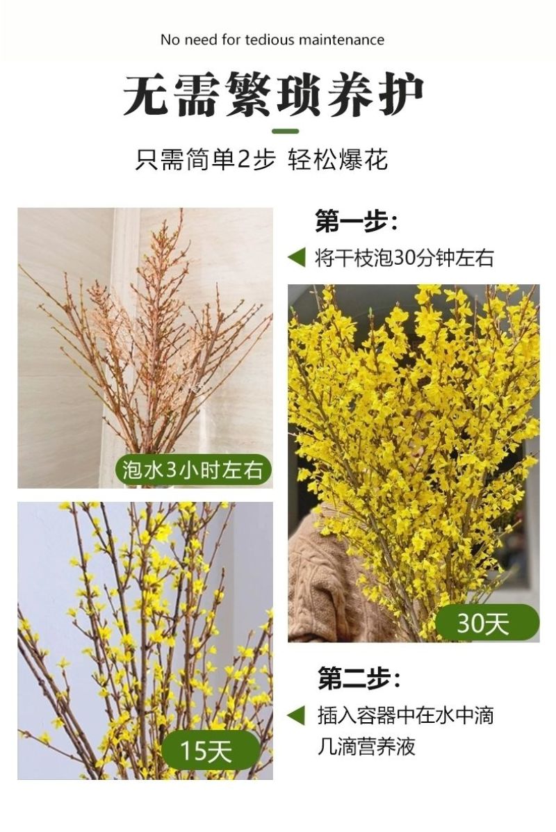 开花干枝寸寸金水培鲜切花植物插花新鲜枝条真花摆件室内客厅